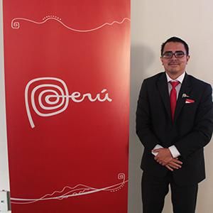 - Ladevi Medios y Soluciones