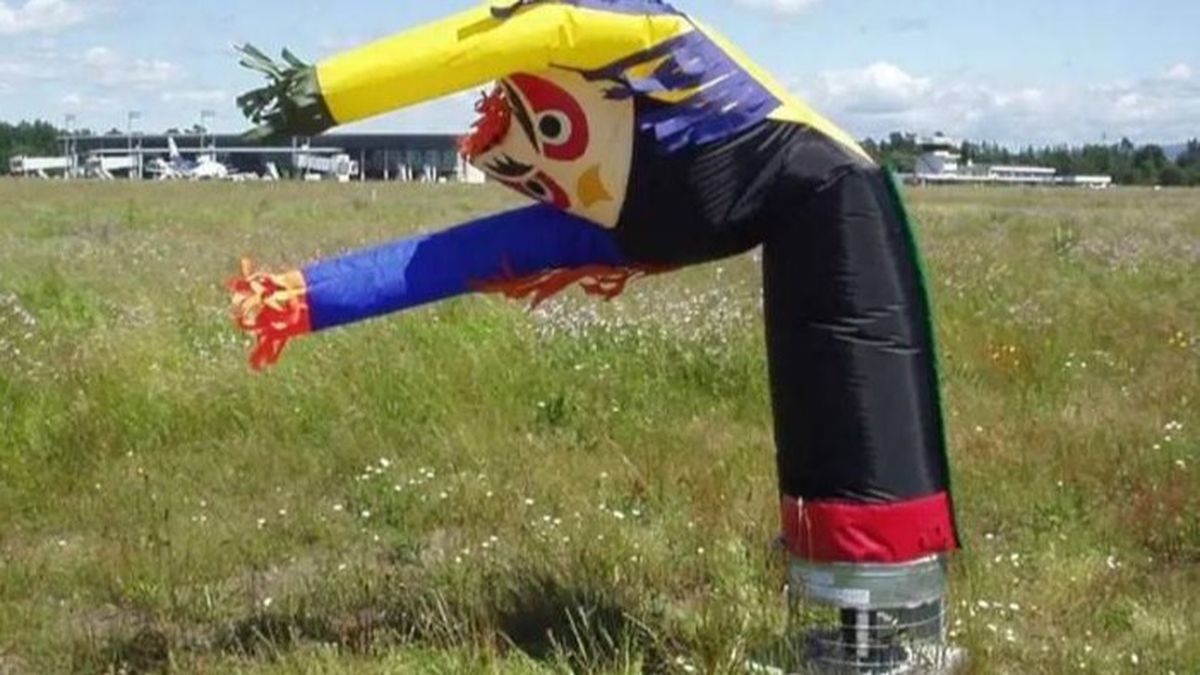 El espantapajaros implementado por el SSEI como un elemento repelente visual para las aves.