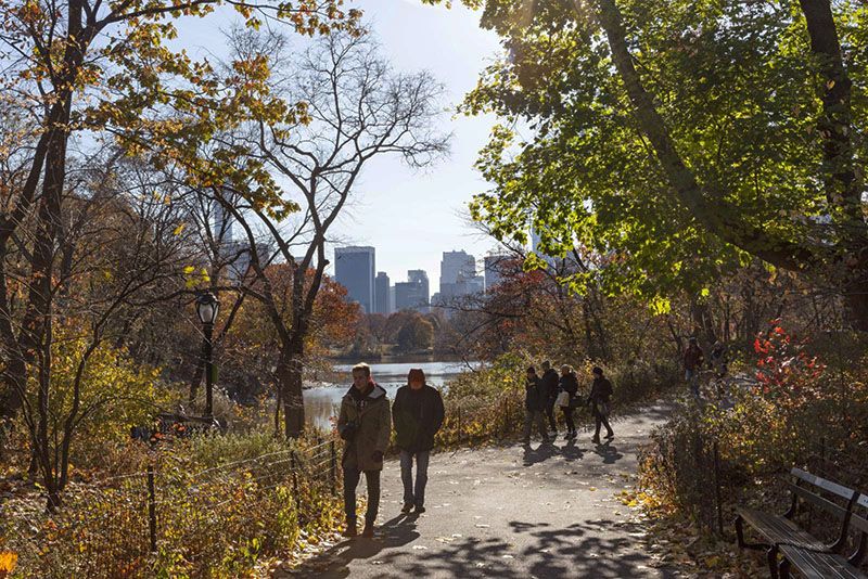Lagos, colorida vegetación y sofisticada arquitectura, tres aspectos que pueden disfrutarse durante el paseo por el Central Park.