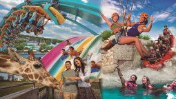 Vidatur cuenta con salidas confirmadas a Curazao para2025. 