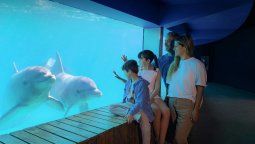 altText(Vacaciones de invierno: 3 planes económicos para disfrutar en familia)}