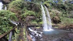 La Reserva Biológica Huilo Huilo protege 100.000 hectáreas de bosque húmedo templado en la cordillera de la Región de Los Ríos.