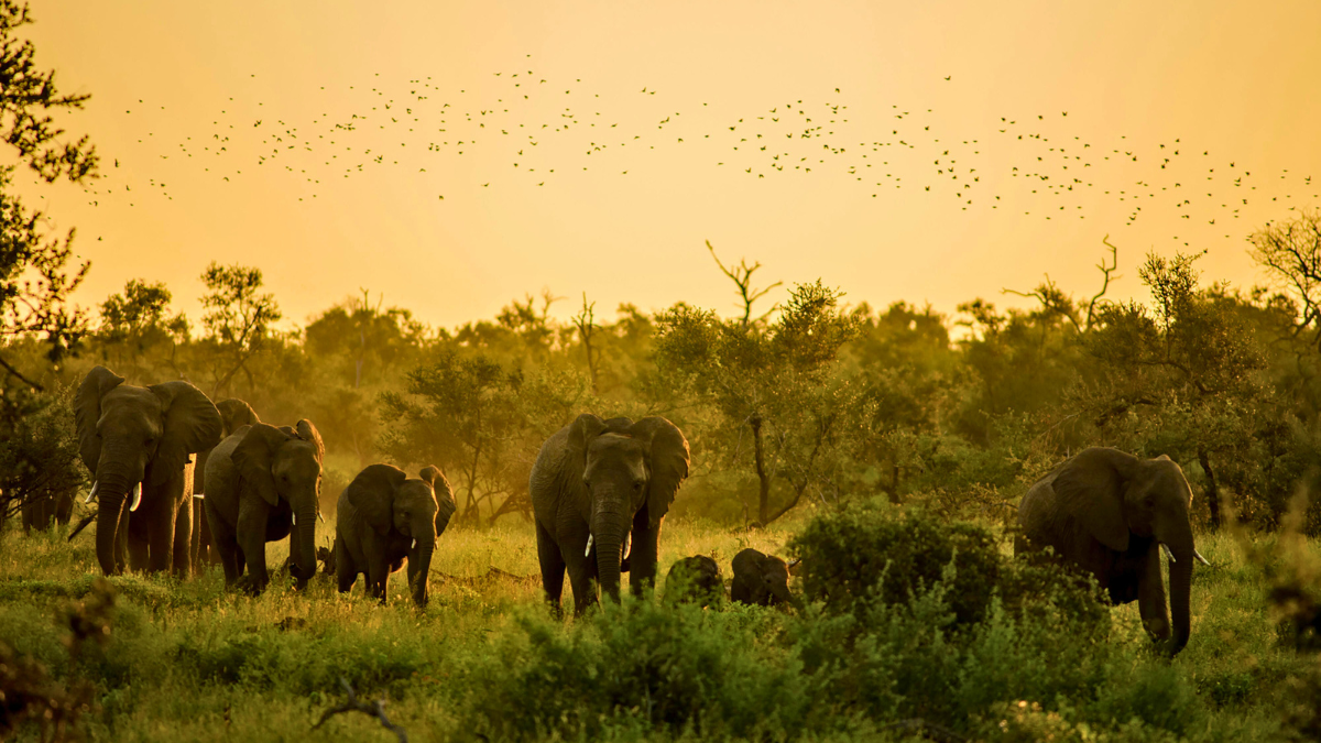 Encuentra a los Encuentra a los