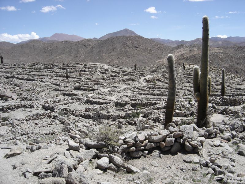 Las Ruinas de Quilmes, una de las visitas imperdibles de Tucumán. Se destaca la vista panorámica desde los miradores.