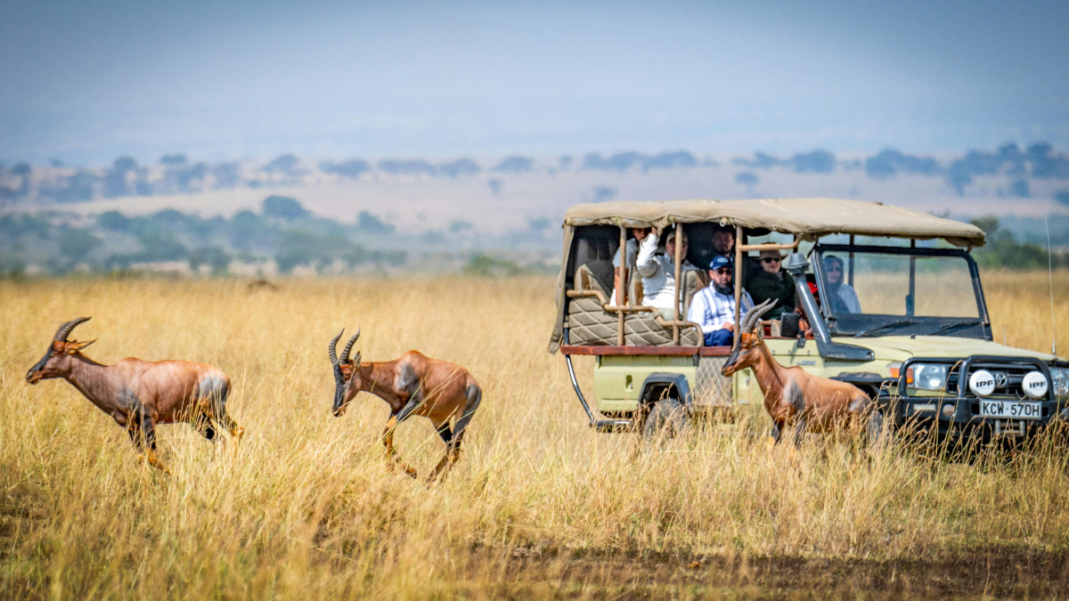 Estas reservas naturales en África te ofrecen la posibilidad de realizar safaris para explorar la flora y fauna local.