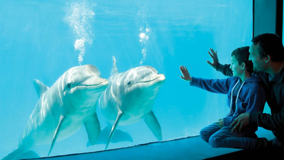 Vacaciones de invierno: 5 lugares para viajar con niños en la provincia de Buenos Aires