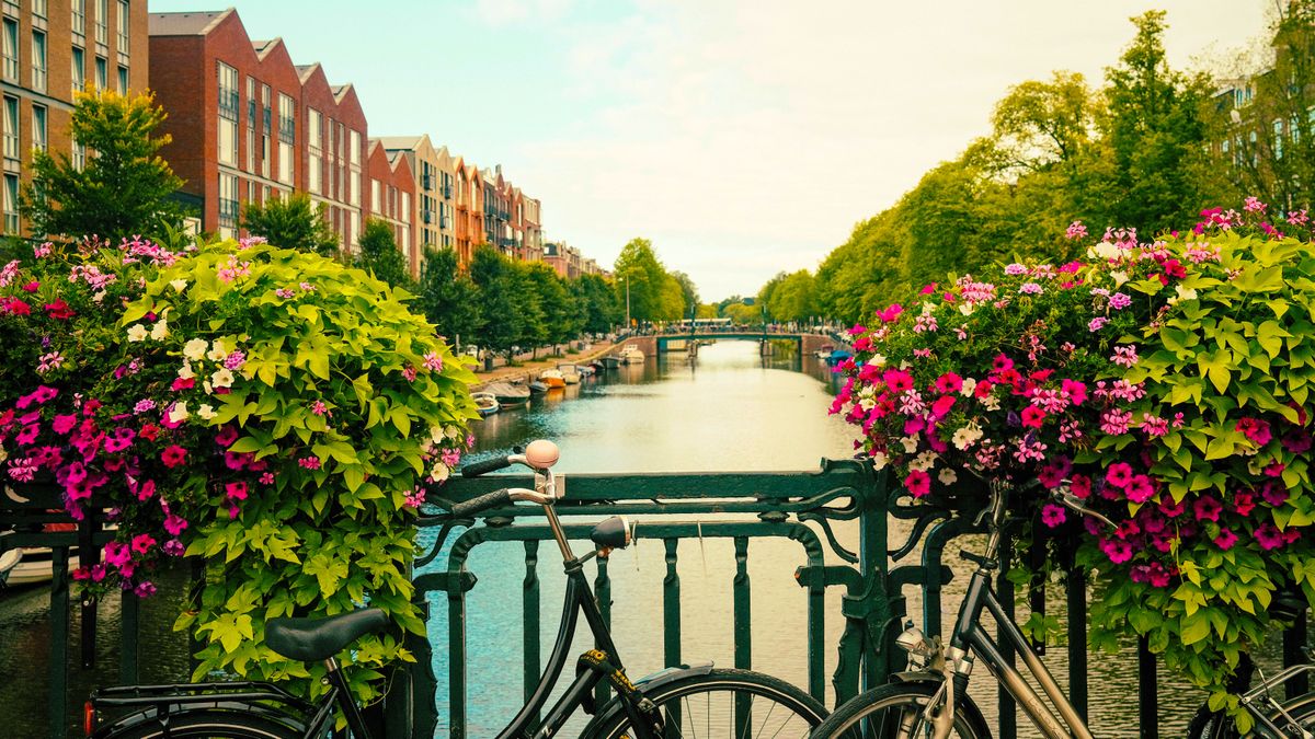 La propuesta de maseuropa consta de dos líneas de producto: la Serie Europa y la Serie Colores.