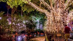 Durante la época de Navidad encontrarás una gran variedad de destinos únicos para visitar en The Palm Beaches.