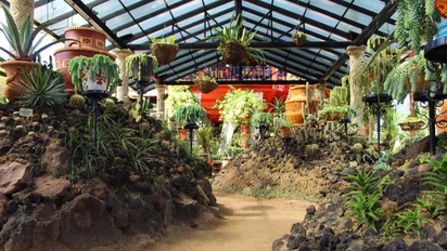 Descubre este hermoso jardín botánico en Puerto Vallarta.