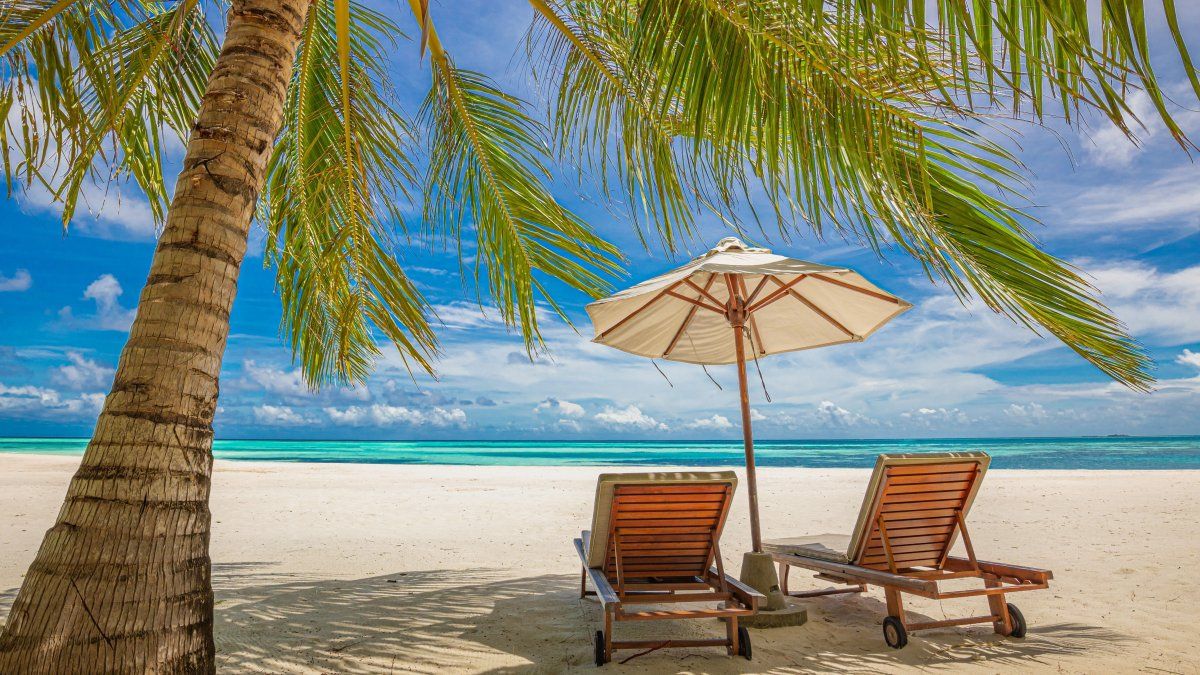 Vuelos al Caribe: conectá con lo mejor de Punta Cana conCopa Airlines.&nbsp;