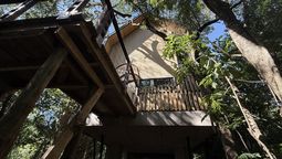 Puerto Iguazú, Misiones: Entre Árboles es una nueva propuesta de Amerian que propone entregarse al lujo en plena naturaleza.