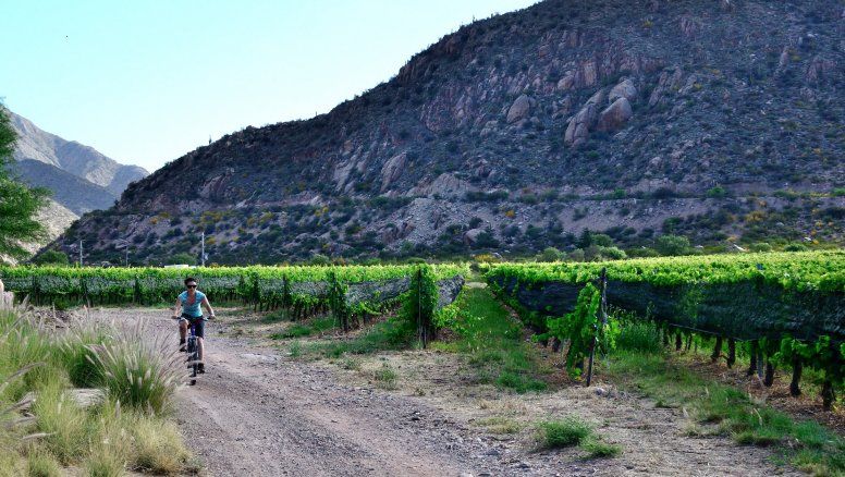 La Rioja con buenos niveles de ocupación al inicio de la temporada