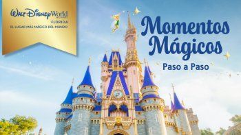 Momentos Mágicos contiene toda la información necesaria para vender exitosamente los parques de Walt Disney World Resort.