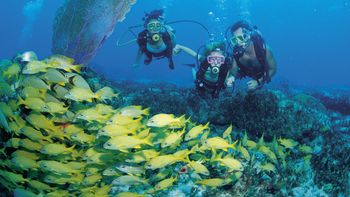 Las Bahamas: un edén azul para los fanáticos del buceo