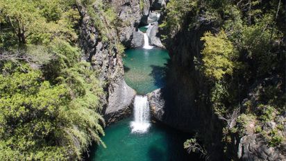Conoce los parques nacionales especiales para visitar durante la primavera del país