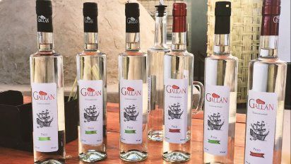 Pisco San Gallán consiguió el máximo galardón de todas las categorías en el prestigioso Concurso Internacional de Vinos y Espirituosos (CINVE 2021).