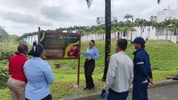 Decameron impulsa proyecto para proteger al mono aullador de Esmeraldas.&nbsp;