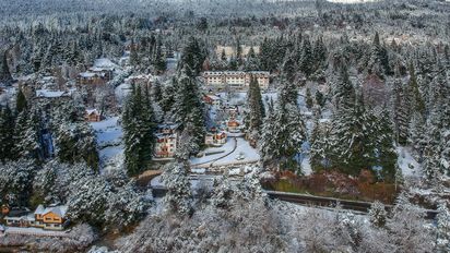 Airbnb reveló que los anfitriones de Bariloche superaron los US$ 30 millones en ganancias durante 2025, mientras las reservas y búsquedas crecieron casi 10%.