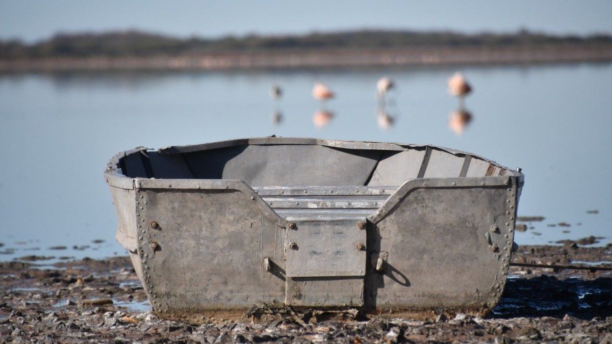 Visitá la Laguna de Lobos en la Provincia de Buenos Aires durante el próximo fin de semana largo.