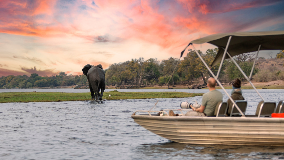 El sur de África oculta maravillas que vale la pena descubrir en tus próximas vacaciones.