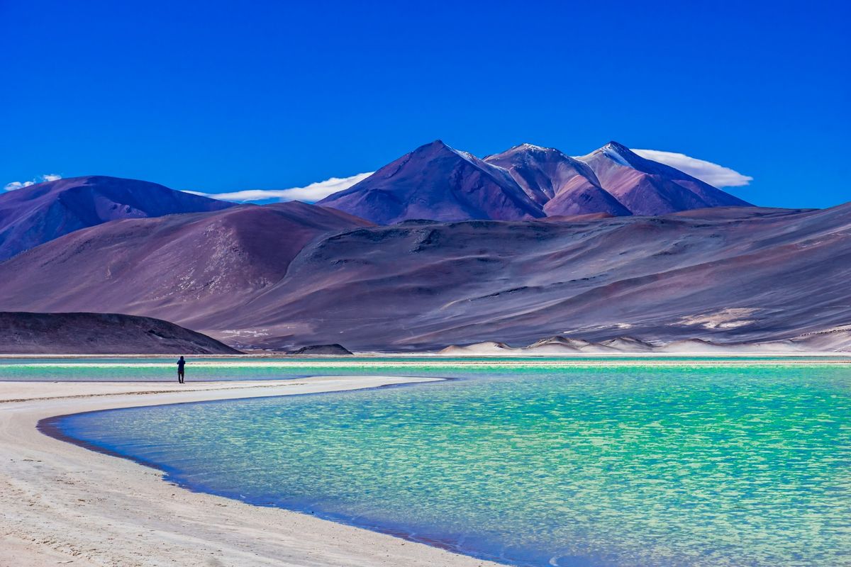 Atacama con mayor reducción de ocupación respecto al verano 2023.
