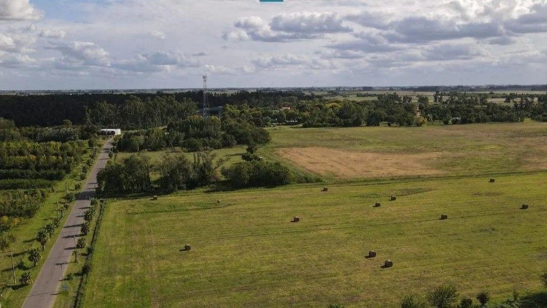 Escapadas: para llegar a Cazón desde Ciudad de BuenosAires en auto se debe tomar la Autopista Ezeiza - Cañuelas y luego la RN 205hasta Saladillo.