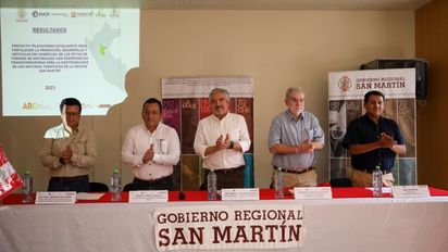 San Martín alista plataforma digital para profesionales y turistas.