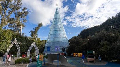 Colombia tiene el árbol de Navidad ecológico más alto del mundo