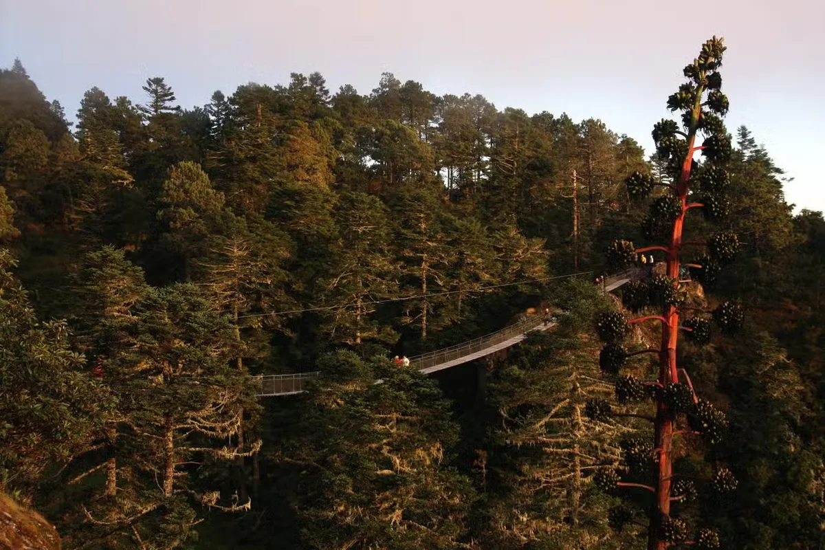 La Inteligencia Artificial calificó estos parques naturales como los mejores de Oaxaca.
