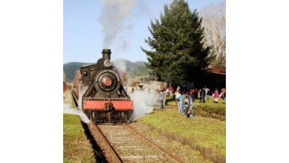 Tren turístico valdiviano duplica sus viajes