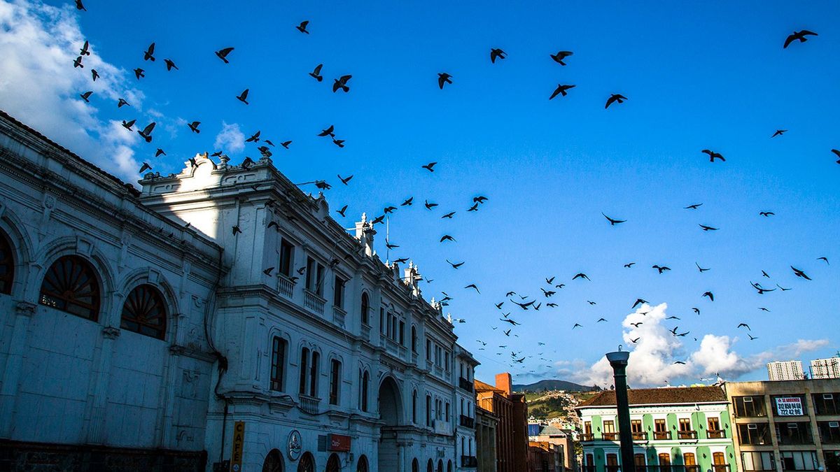 En la Plaza de Nari&ntilde;o, Pasto ha tenido lugar acontecimientos determinantes, as&iacute; como las principales celebraciones religiosas y sociales que marcan la vida local.