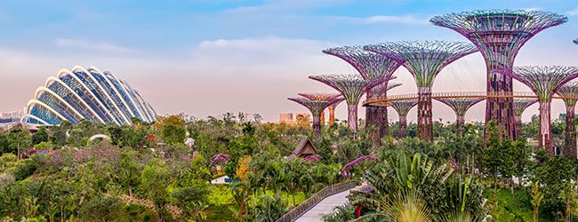 SINGAPORE TOURISM BOARD 2714.jpg