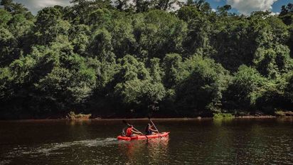 Fin de semana largo: ¿qué hacer en una escapada a Misiones?