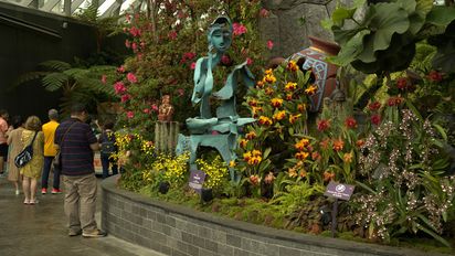 Orquídeas de Machu Picchu en Singapur es visitada por más de 750,000 personas.