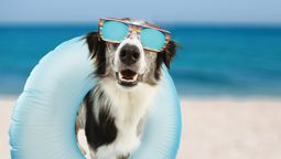 Hoy en día los destinos de islas y playas compiten con nuevas alternativas, mientras los viajeros se vuelven más exigentes y en busqueda de experiencias personalizadas.