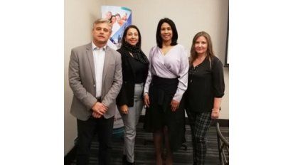 Presentación en conjunto de sus propiedades