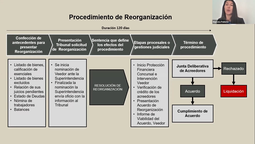 Marcela Poblete analiza los detalles del procedimiento de reorganización de las empresas contemplado en la Ley 20.720 durante su presentación en Fedetur Talks.
