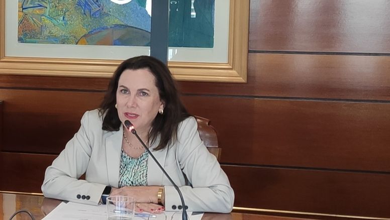 La representante del gremio advirtió desconexión con la realidad del rubro.