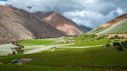 Vicuña y el Valle del Elqui ofrecen una escapada de relajo entre spa, pisco, pueblos tranquilos y noches de cielo limpio.