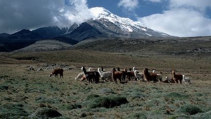 Dentro de los planes para 2024, el Ministerio de Turismo anunció la creación de tres corredores seguros, uno de ellos ubicado en el centro de la región Sierra.