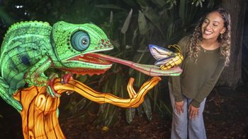 Aquatica es una increíble experiencia que te prepara para una navidad mágica.