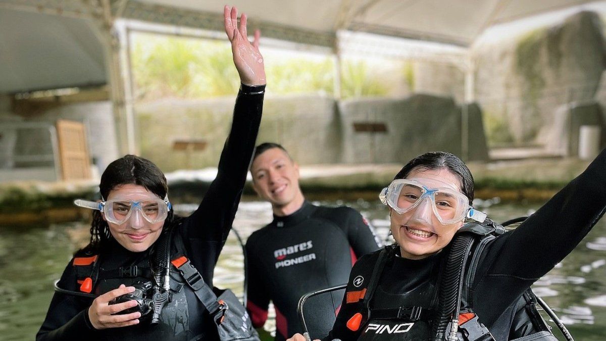 Aquarium ofrece varias actividades para conocer más de cerca la fauna marina.
