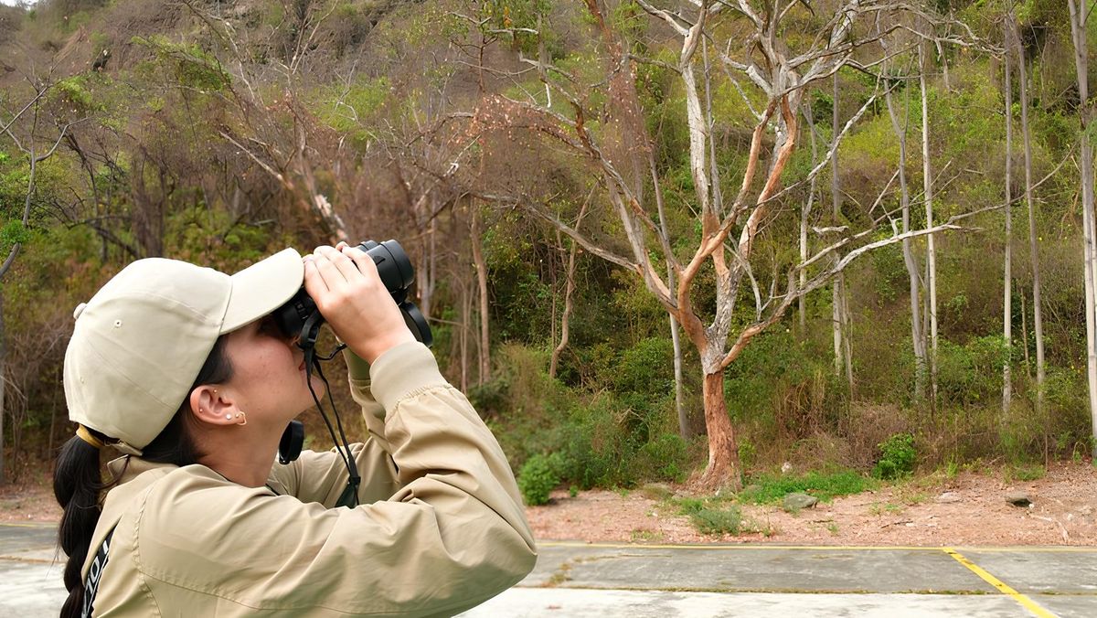 Guayaquil impulsa el avistamiento de aves.