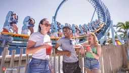 Escapadas durante el Mundial 2026: SeaWorld Orlando fusionaun parque temático de clase mundial con un zoológico marino y un centro derescate animal.