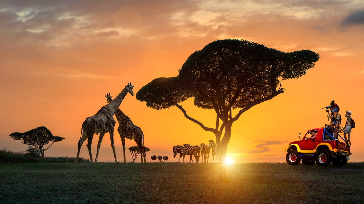 Sudáfrica ofrece una experiencia de viaje única e inigualable.