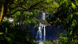 Cataratas del Iguazú desde Brasil: esto cuesta visitar el lado brasileño de este famoso rincón natural.