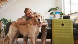 Tips clave para viajar con mascotas de forma segura.