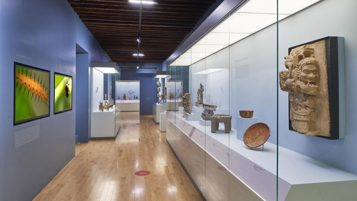 Explora la cultura e historia de Puebla y de México a través de sus museos.