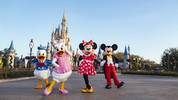 Revisa algunas recomendaciones para disfrutar de mejor manera tu estadía en Walt Disney World. 