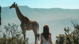 Planea tu viaje para vivir la experiencia de los safaris en África.